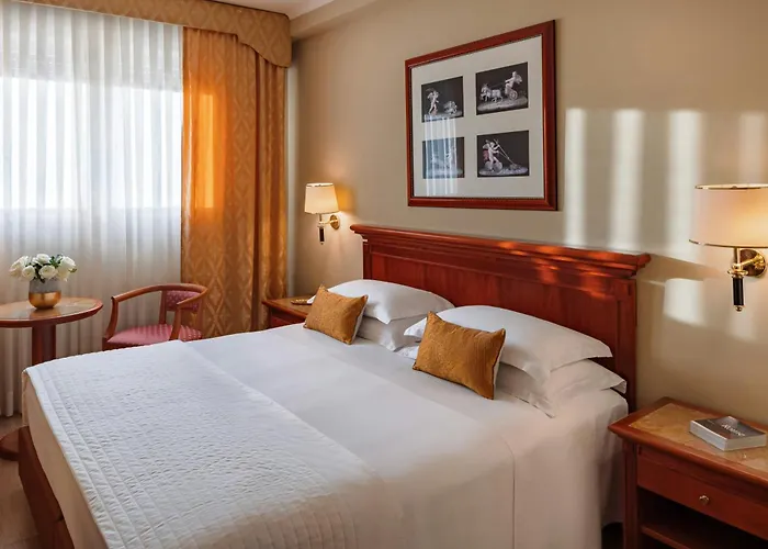 スターホテルズ ミケランジェロ ホテル 4*